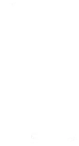 smartphone